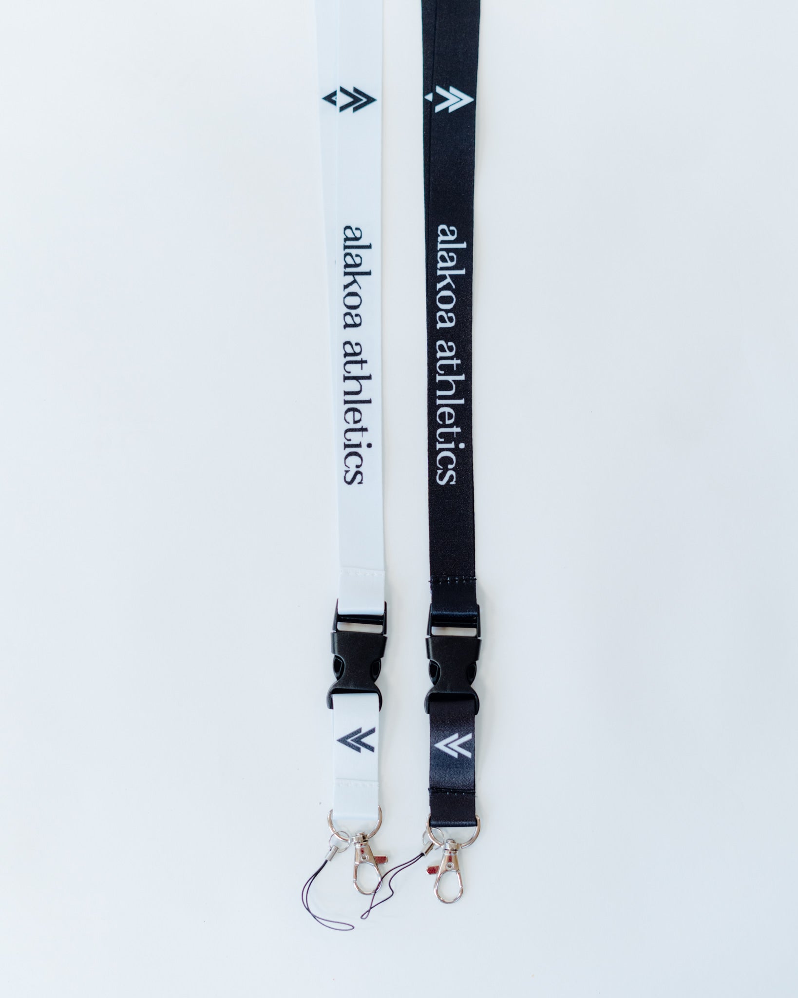 Lanyard